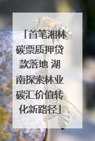 首笔湘林碳票质押贷款落地 湖南探索林业碳汇价值转化新路径